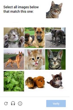 A collage of a cat and a dog

Description automatically generated with medium confidence