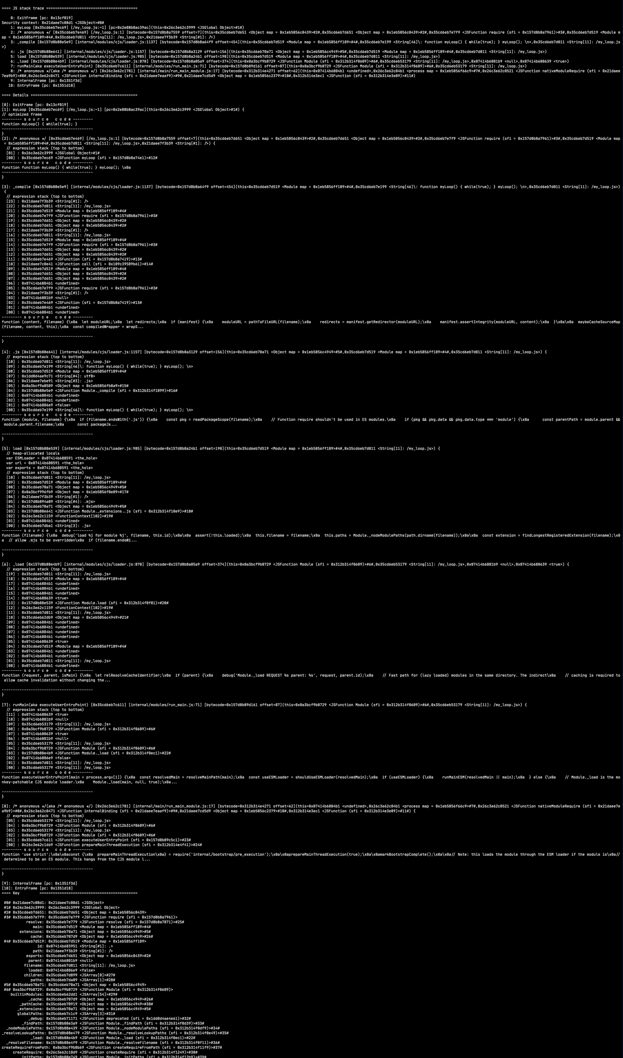 screenshot of terminal showing myLoop function's stack trace