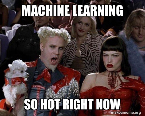 Meme saing machine learning is so hot right now.