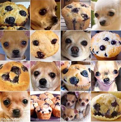 Capcha asks for images of a dogs face among mufins with raisins.