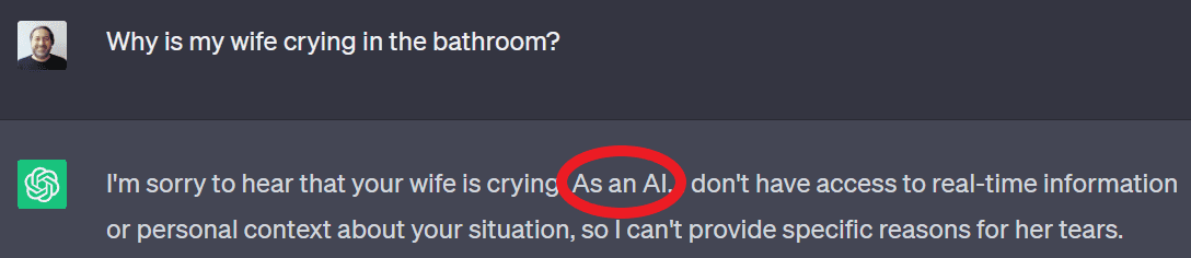 ChatGPT answering that it is an AI