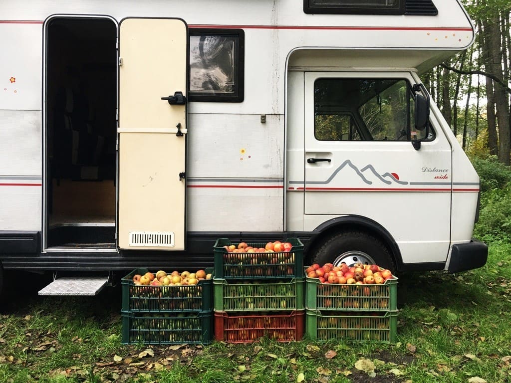 When life gives you apples, make apple cider