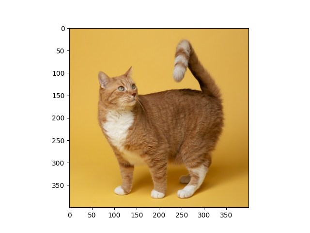 Cat image downloaded with matplotlib