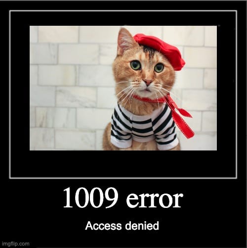 1009 error means a geographical access restriction of your IP address.
