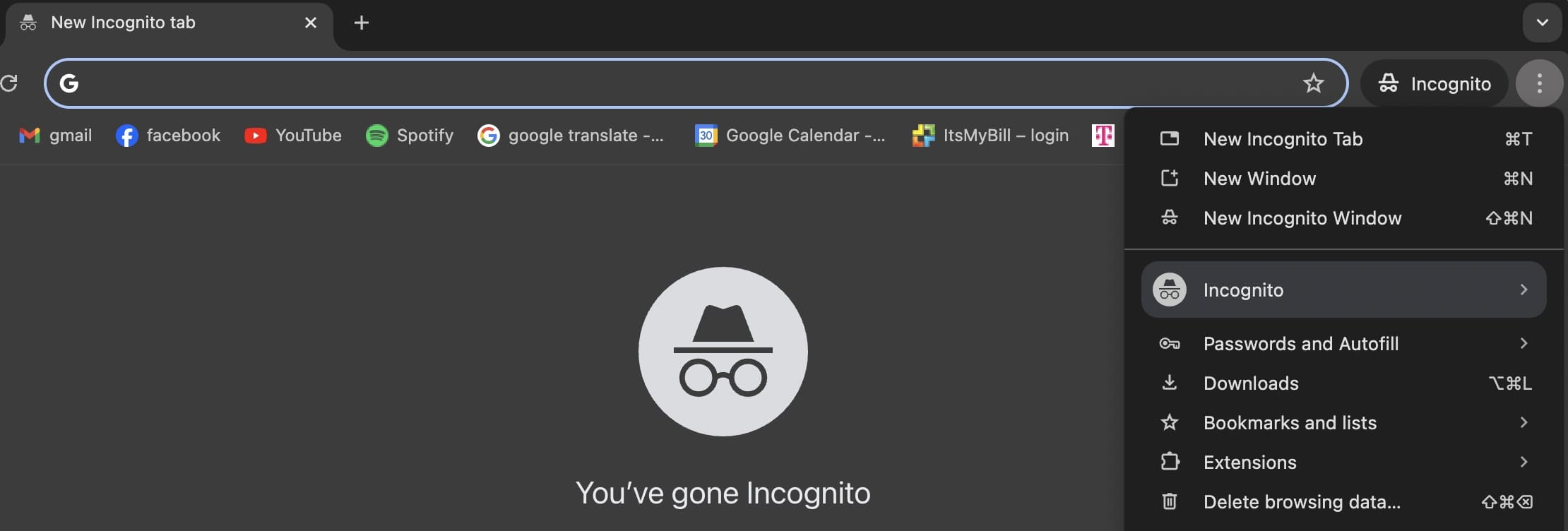 Open an incognito browser