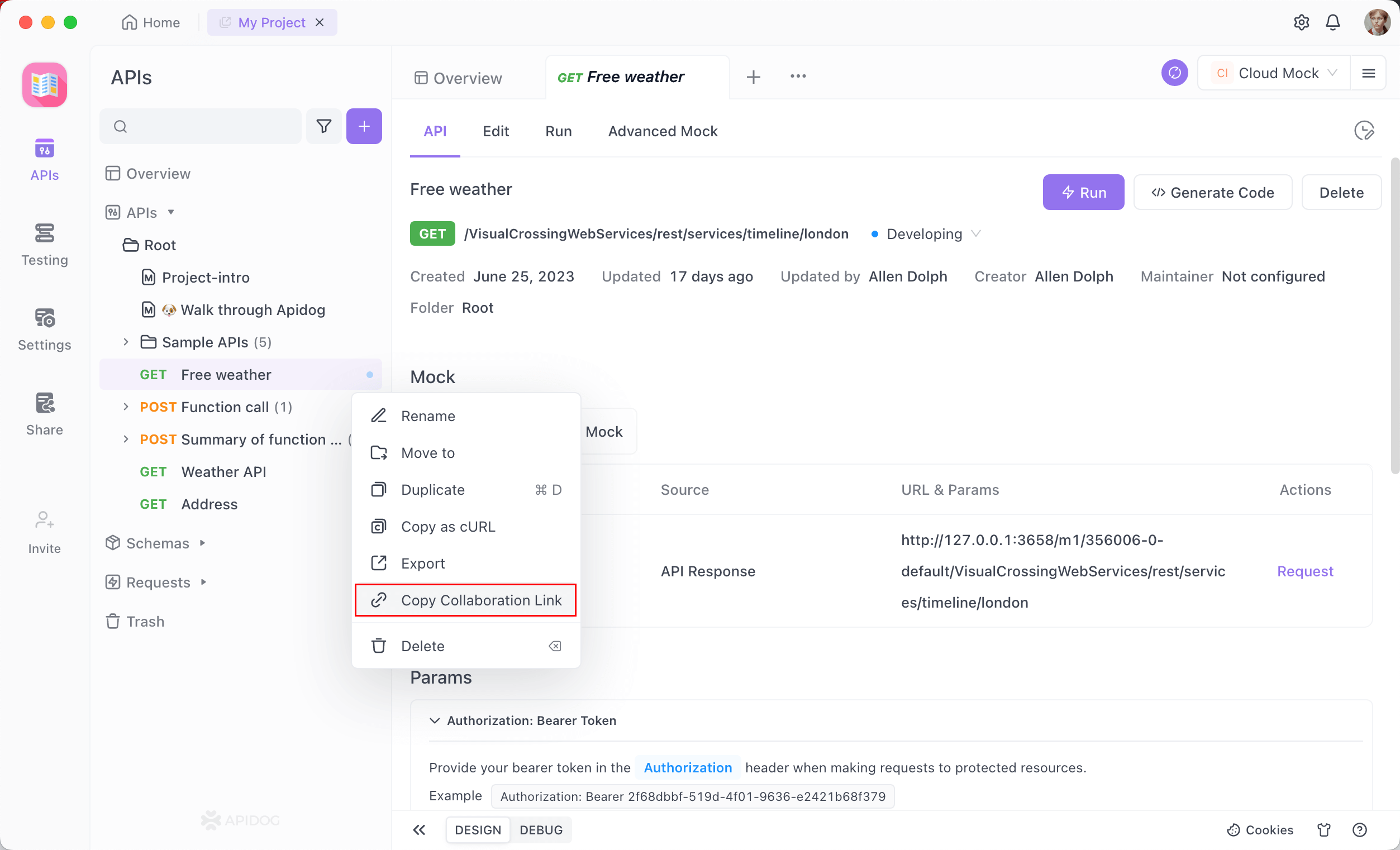 Apidog collaboration features