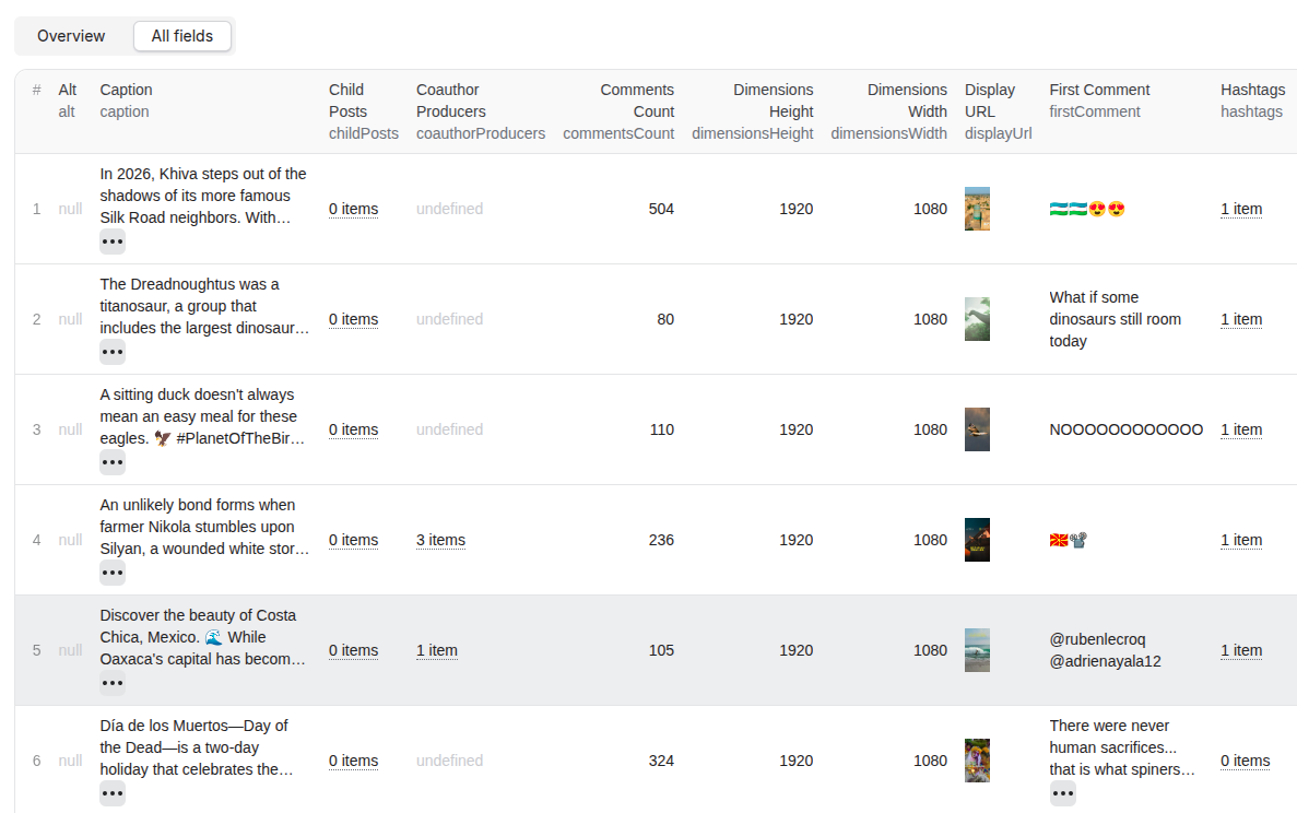 Instagram Reel Scraper output