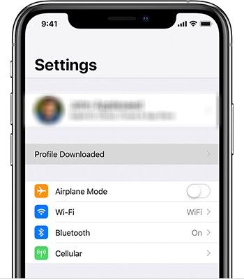 Profile downloaded iphone settings.