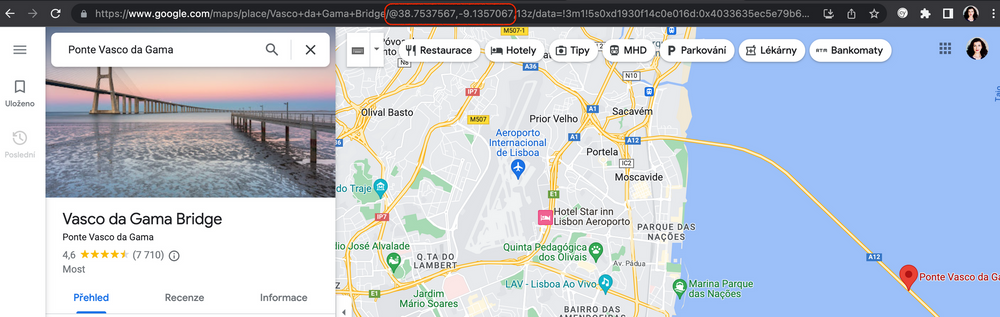 Google Maps scraping manual extract - Geolocation Google Maps