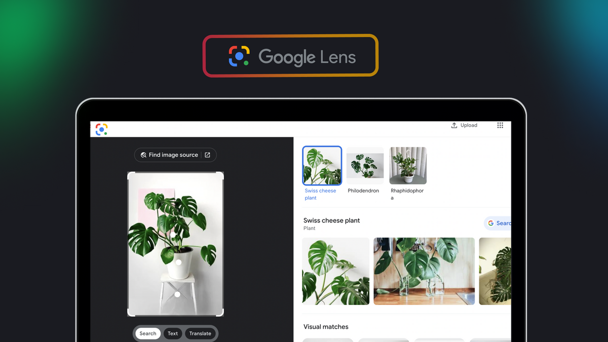 How to use Google Lens API for scraping images